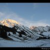 20070305_042